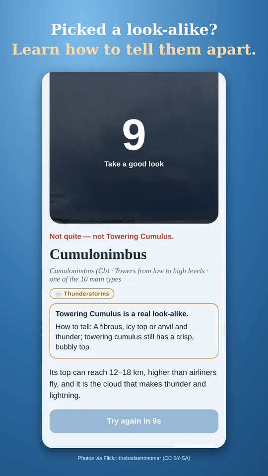 Picking Towering Cumulus explains how to tell it apart from a cumulonimbus