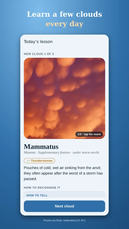 A lesson card for mammatus clouds, marked Thunderstorms