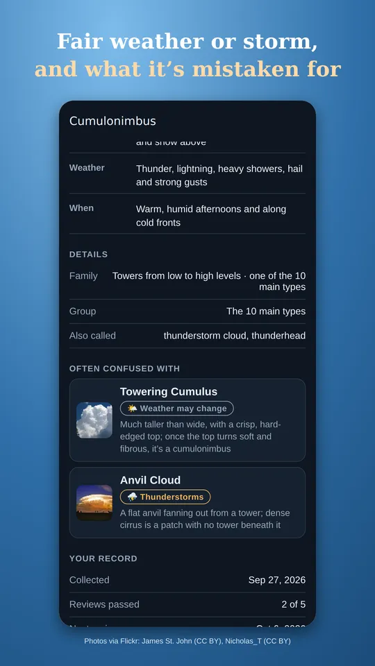 Cumulonimbus page in dark mode with its look-alikes: towering cumulus and the anvil cloud