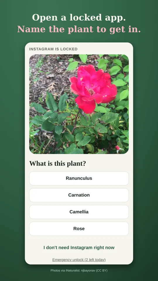 Open a locked app and name the plant to get in
