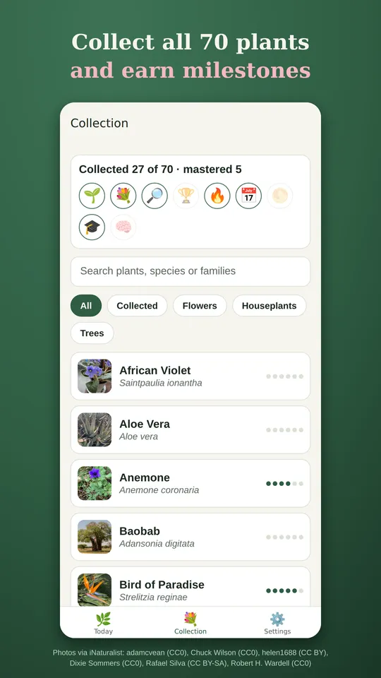 The collection: 27 of 70 plants collected, with milestones
