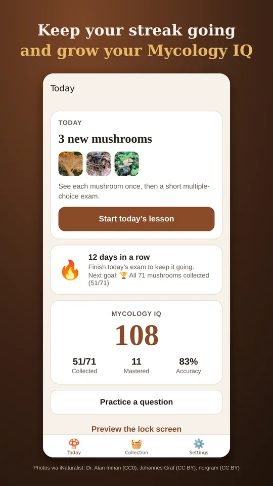 Today screen with a 12-day streak and a Mycology IQ of 108